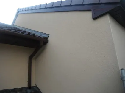  blacks streaks and algae cleaned from k-rend render wall in liverpool merseyside, render cleaning image