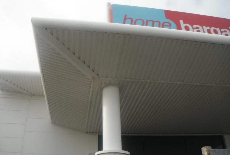 Render & Cladding Why Does Algae Grow On It