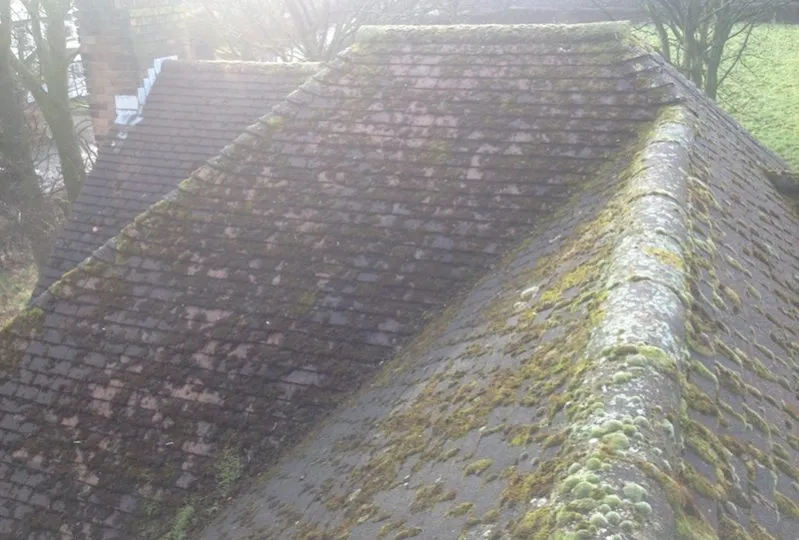 Imge of moss on roof before cleaning in preston Lancashire