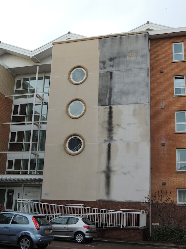 image of Algae on render www.cleaning-service.uk.com