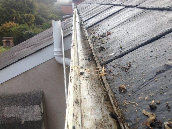 5 Reasons Why Gutter Cleaning is Important?