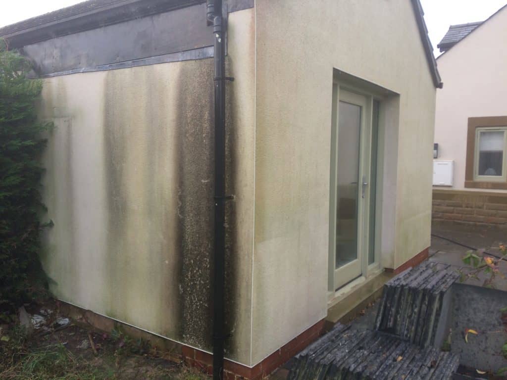 Number 1 tip on how to remove algae from external walls.