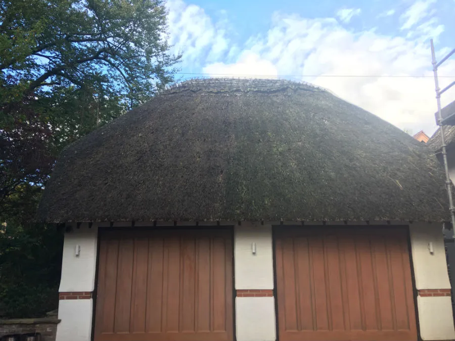 Image of Moss on a thatched roof www.cleaning-service.uk.com