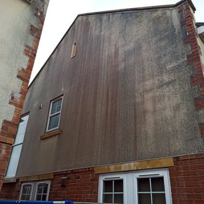 red algae and black streaks build up on render