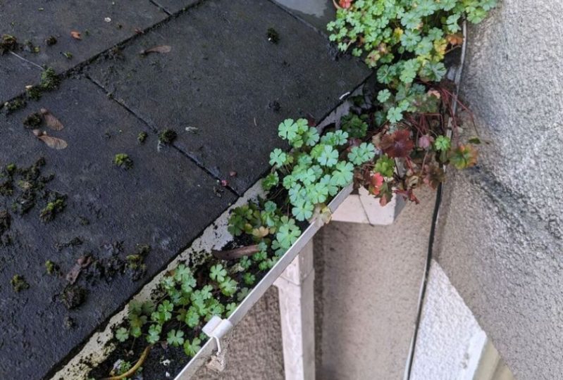 Keeping your gutters clean www.cleaning-service.uk.com