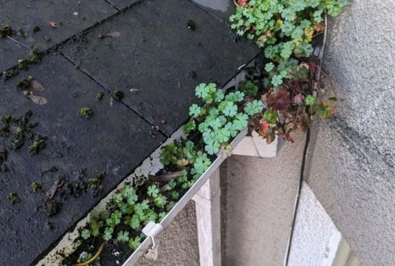 Keeping your gutters clean www.cleaning-service.uk.com
